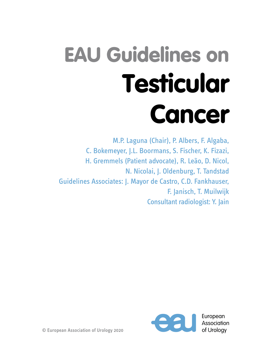 07245676 - eau guidelines on testicular cancer