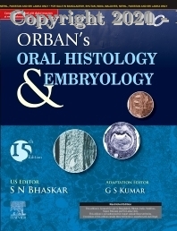 Orban's Oral Histology & Embryology, 15E