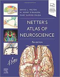 Netter's Atlas of Neuroscience, 4E