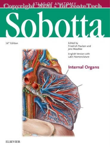 sobotta atlas of anatomy internal organs, 16e