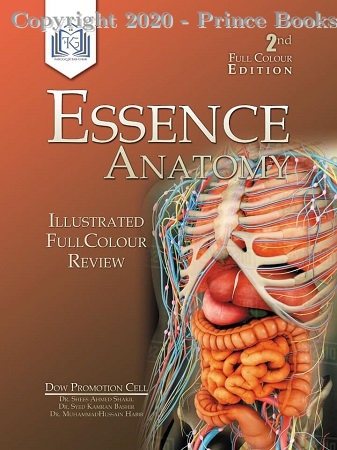 Essence Anatomy, 2e