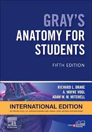 Gray's Anatomy for Students, 5 International Edition