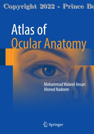 Atlas of Ocular Anatomy, 1E