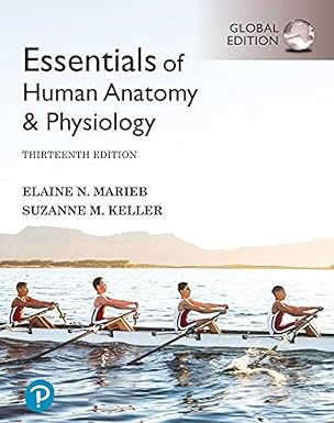 Essentials of Human Anatomy & Physiology plus Pearson Mastering A&P with Pearson eText, 13e