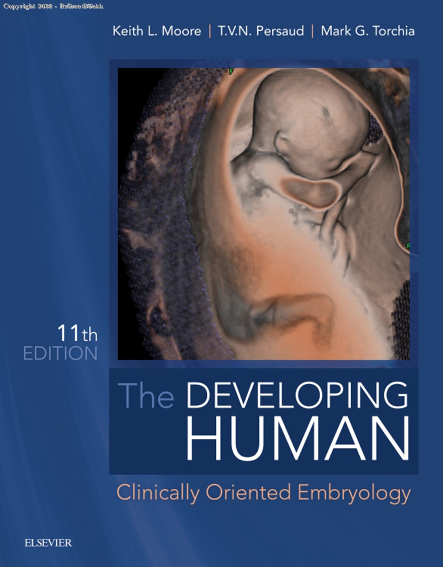 The Developing Human Clinically Oriented Embryology, 11e