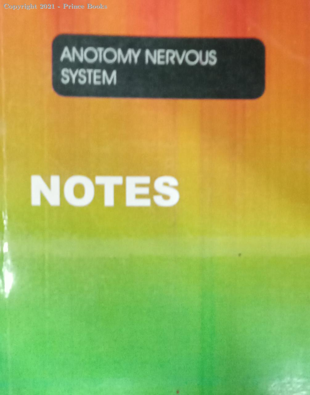 anotomy nervous system notes