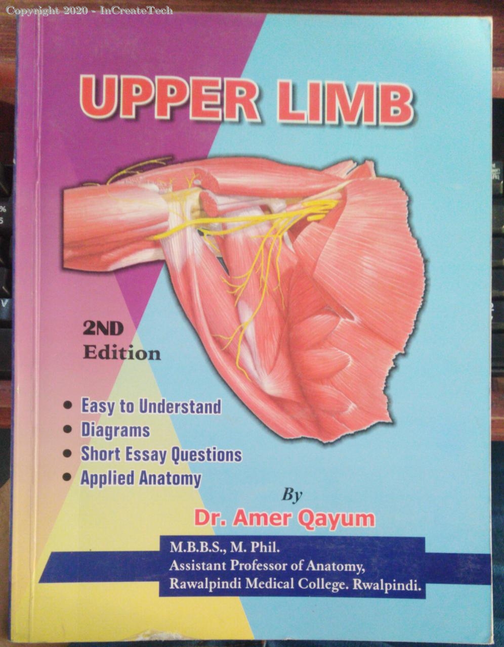Upper Limb  Upper limb anatomy, Medical anatomy, Human anatomy