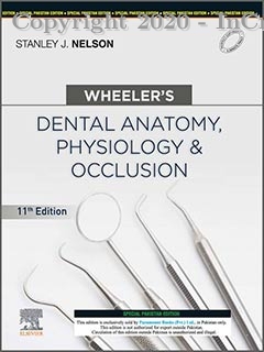wheeler's dental anatomy physiology & occlusion, 11e 