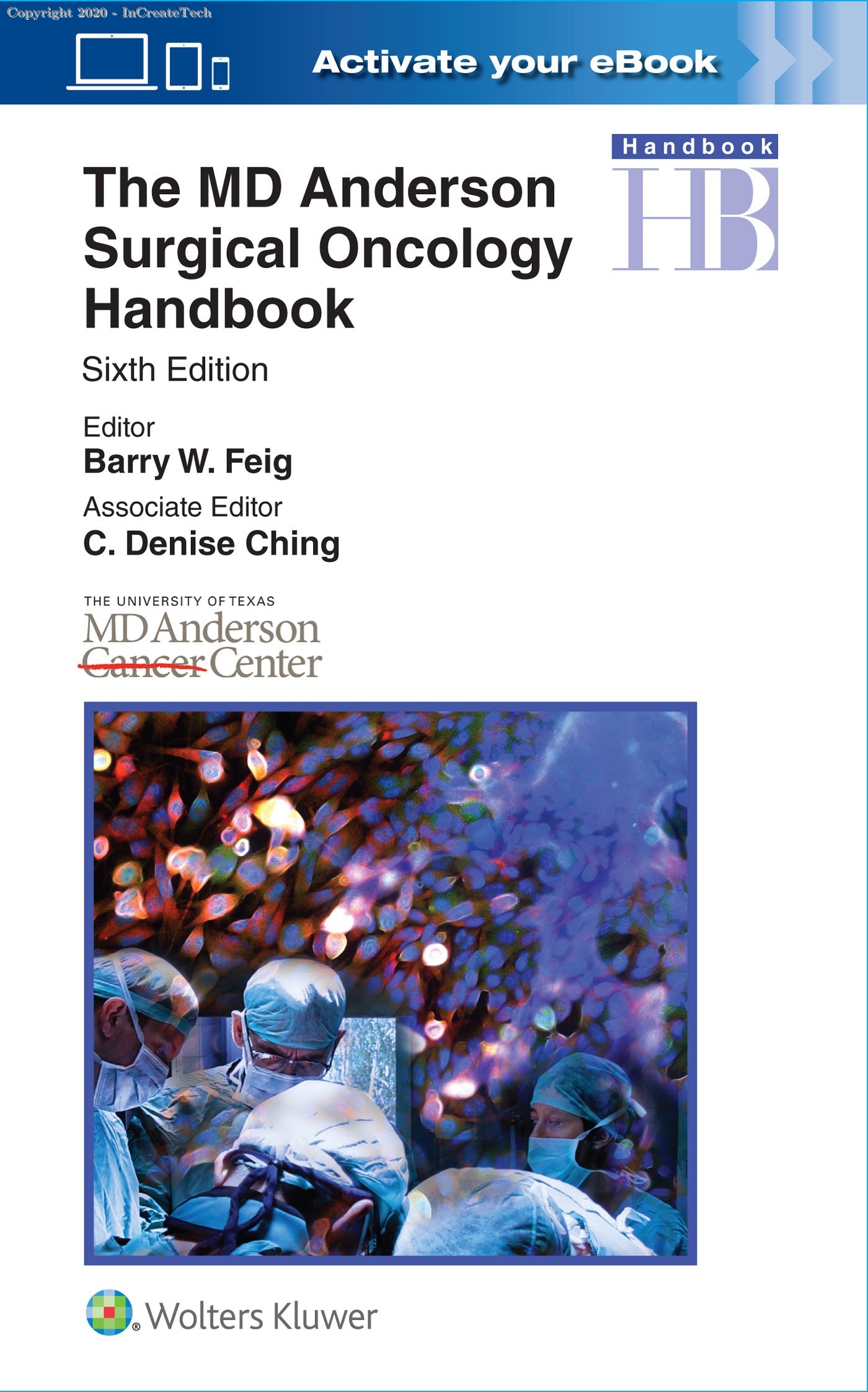 The MD Anderson Surgical Oncology Handbook 2vol set ,6E